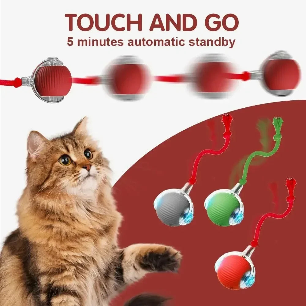 Pet Smart Interactive Ball Rechargeable Cat - ProPawPet.com