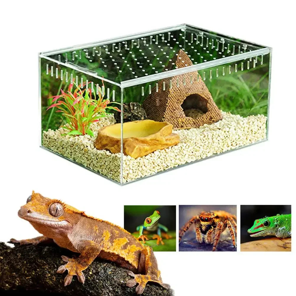 Reptile Breeding Box Acrylic Transparent - ProPawPet.com