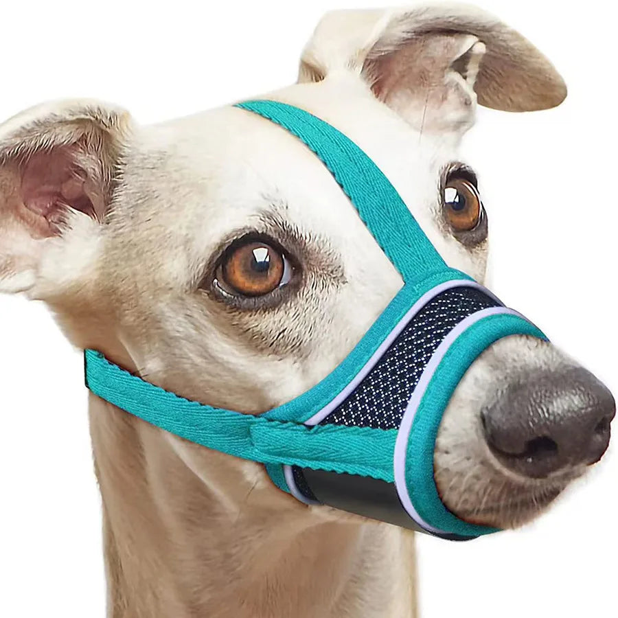 Dog Muzzle Breathable Drinkable Mesh Muzzle - ProPawPet.com