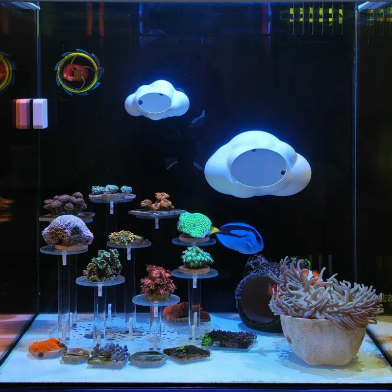 Cloud Shaped Fish Tank Cave Shelter Hideouts - ProPawPet.com