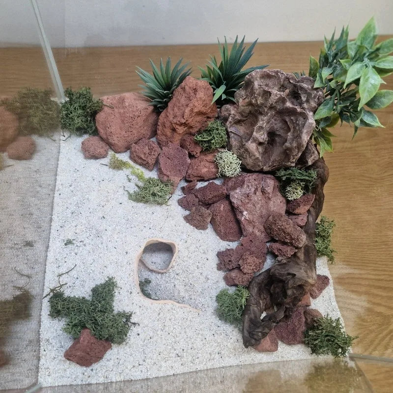3D Printed Aquarium Cave Fish Shrimp Reptile - ProPawPet.com