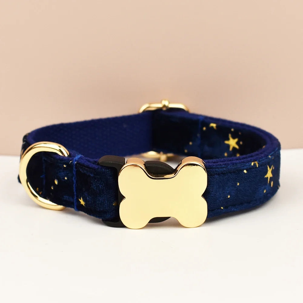 Premium Custom Engraved Dog Collar for Small - ProPawPet.com