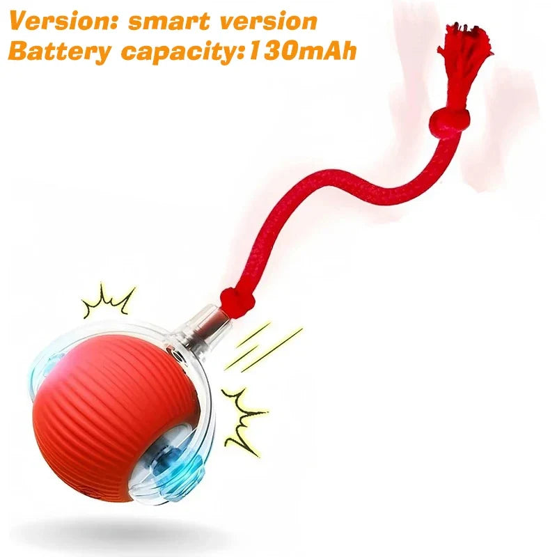 Rechargeable Dog Interactive Ball – 5 Colors