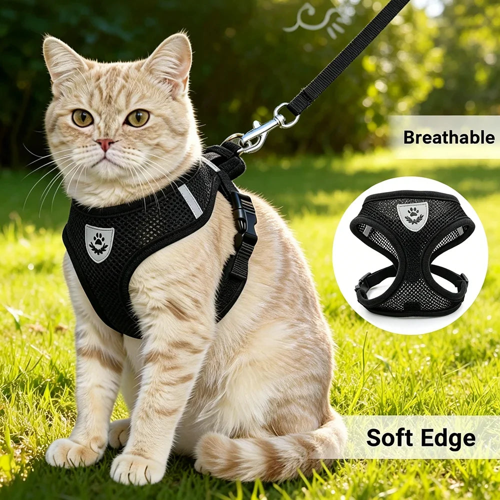 Adjustable Cat Dog Harness Leash Set - ProPawPet.com