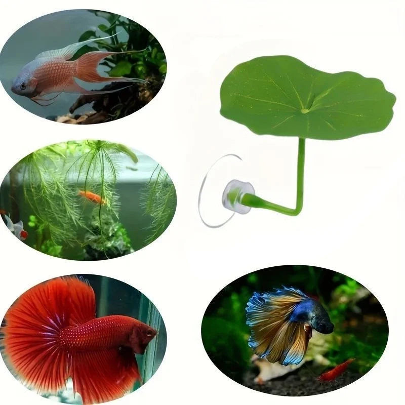 1PC Green Leaf Hammock for Betta Fish - ProPawPet.com