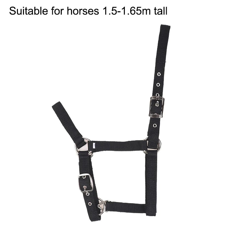 Adjustable Nylon Webbing Equestrian Western Horse Halter – 5 Colors