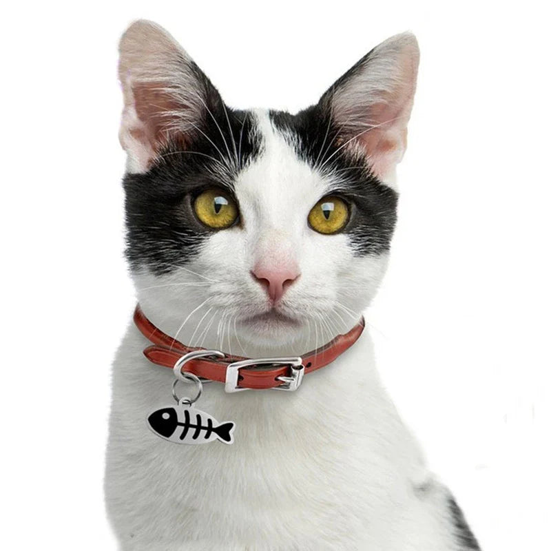 Personalized Pet ID Tag Anti-lost - ProPawPet.com