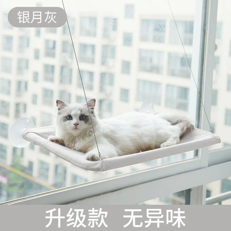 Removable Washable Suction Cup Cat Window - ProPawPet.com