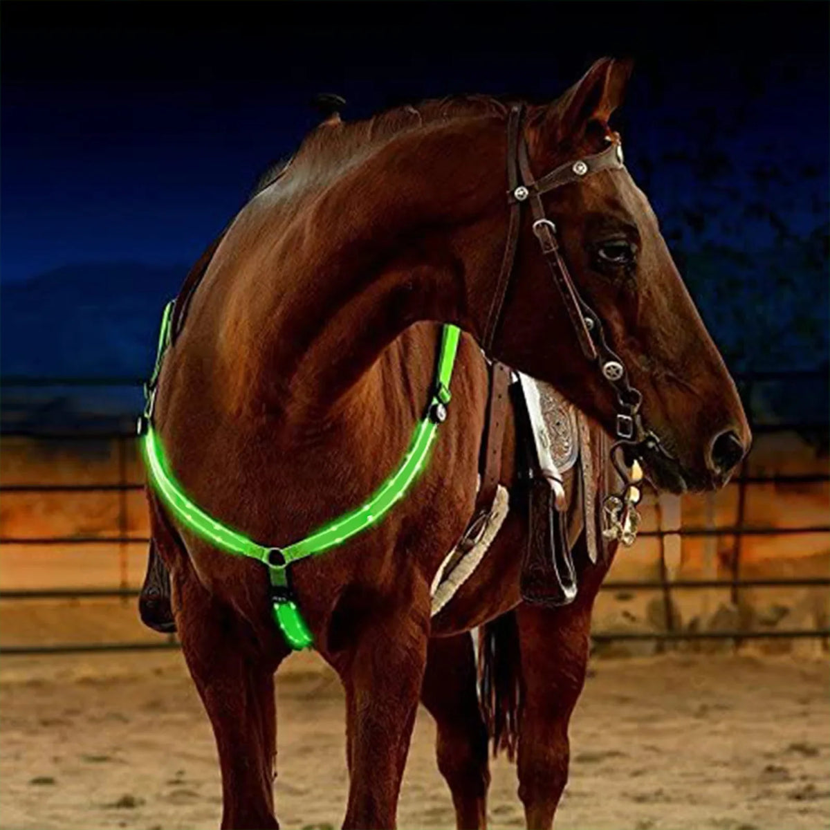LED Horse Harness Nylon Night Visible Horse - ProPawPet.com