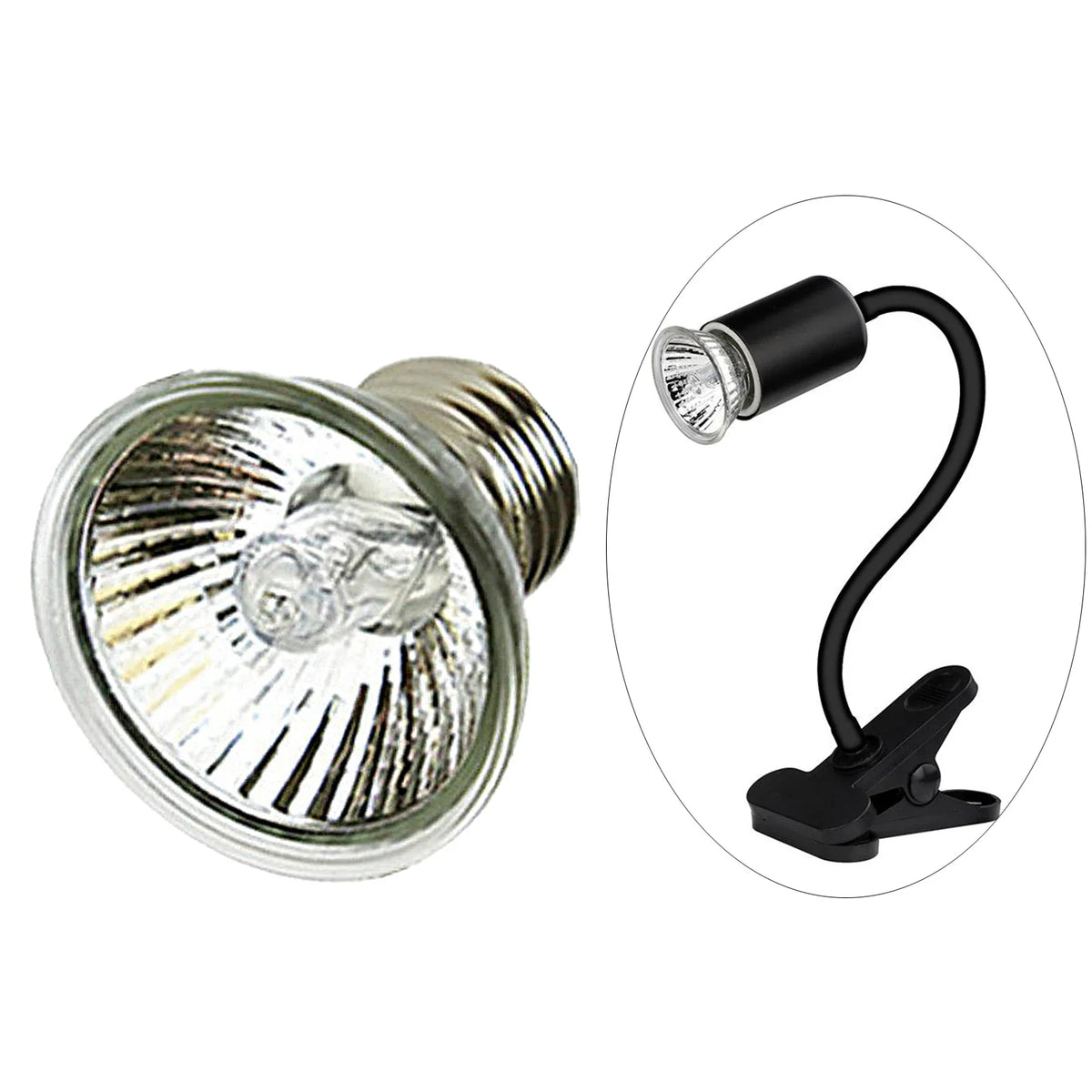 25/50W UVA+UVB Reptile Lamp Turtle Heating - ProPawPet.com