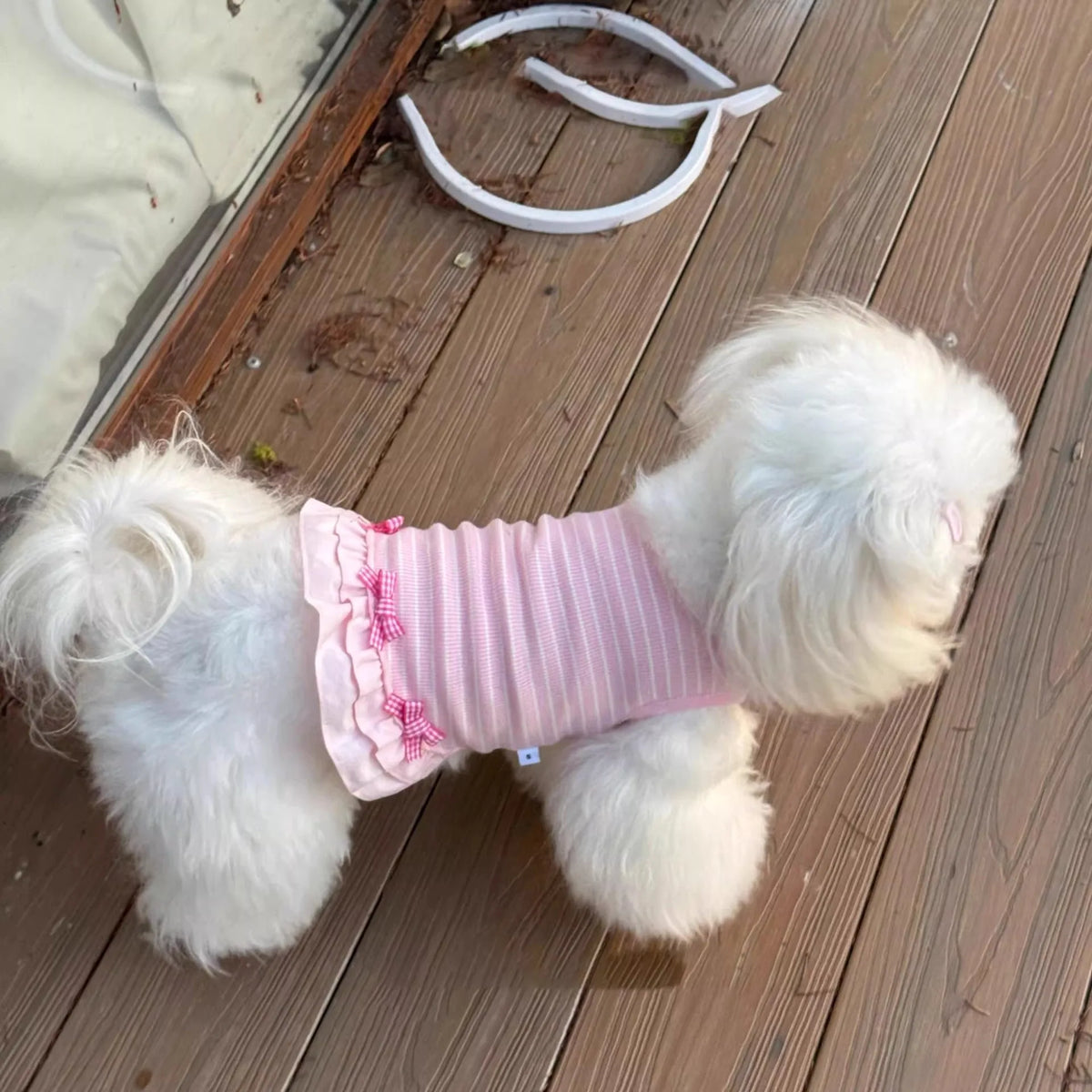 New Summer Cute Striped Pet Clothes for Dogs - ProPawPet.com
