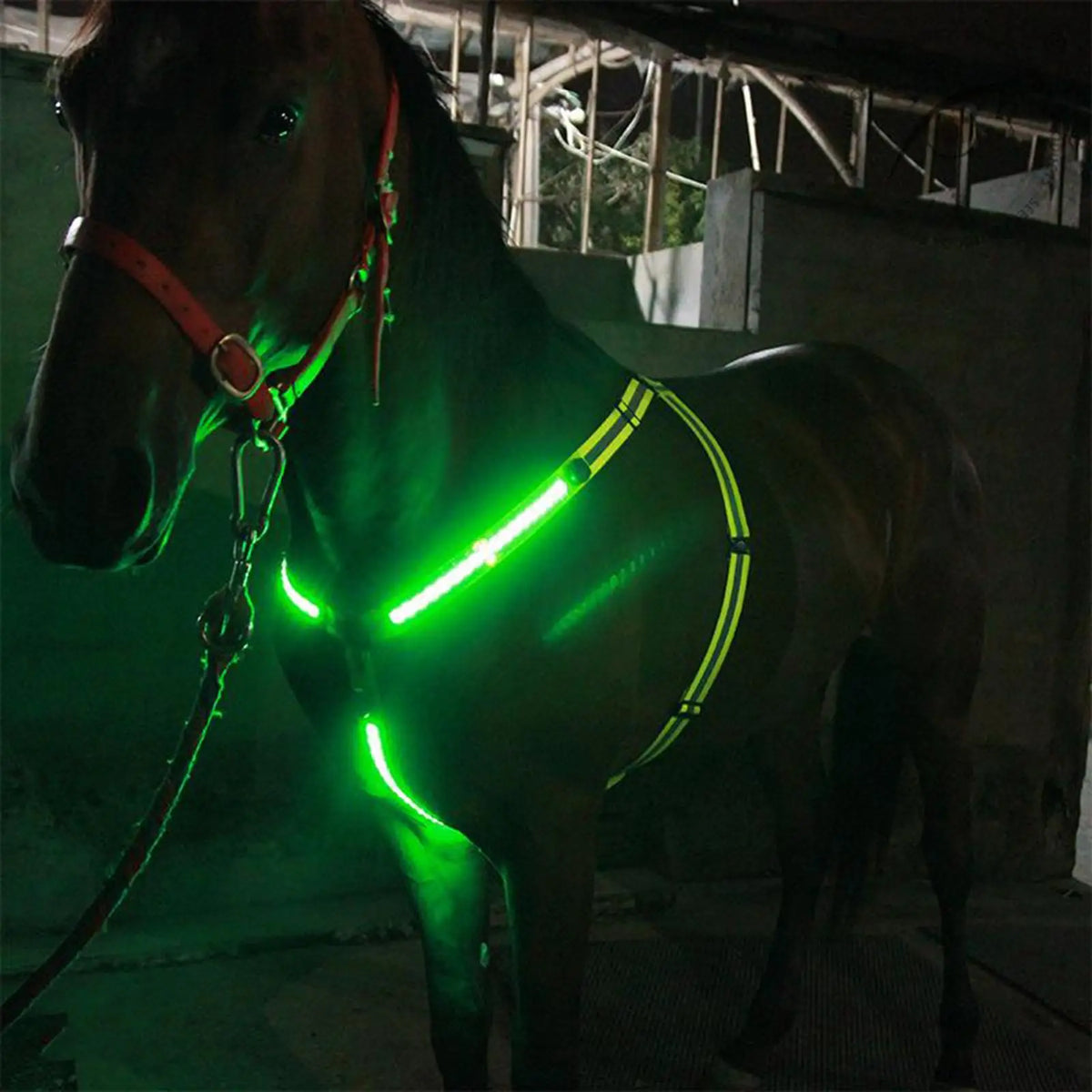 LED Luminous Horse Breast Collar halter - ProPawPet.com