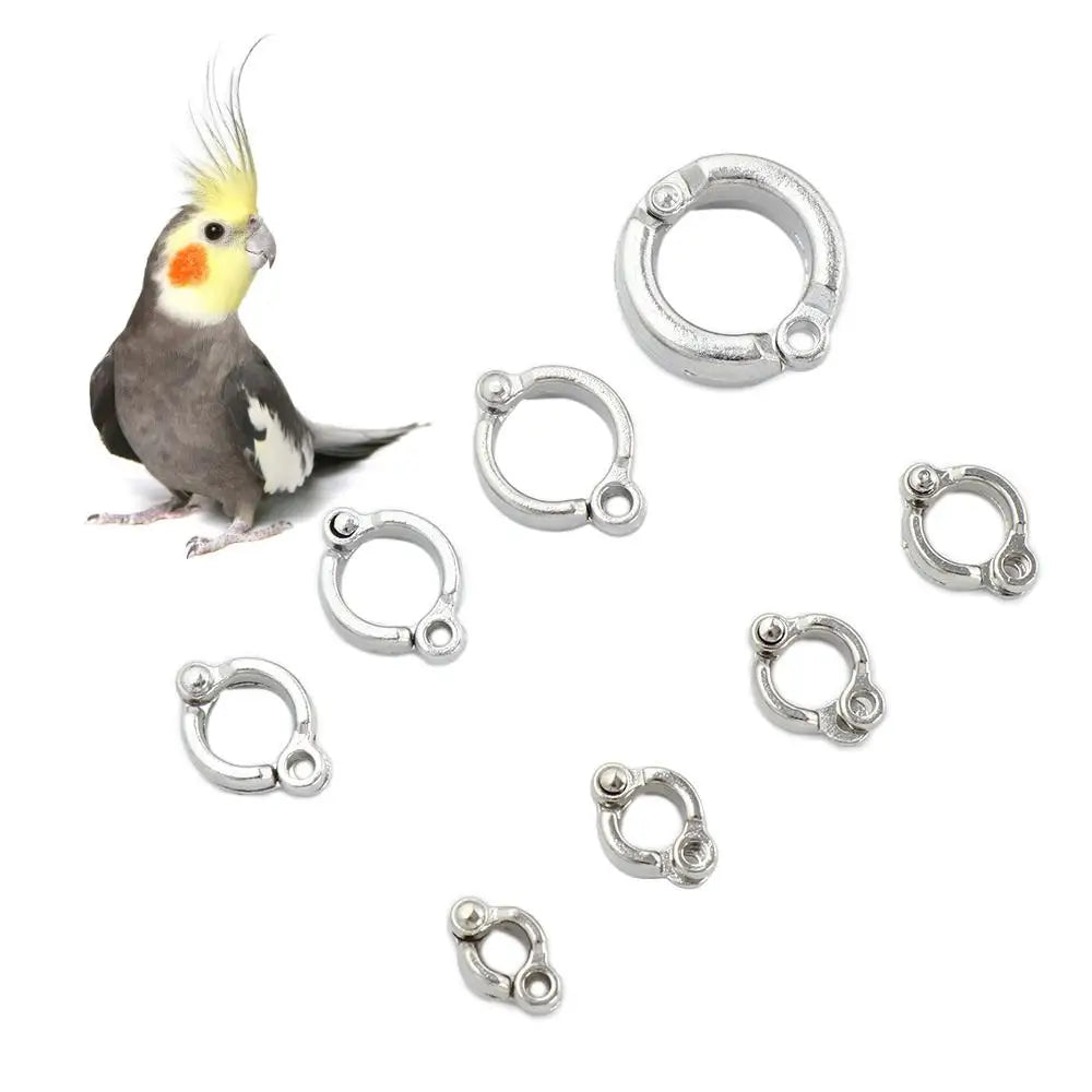 Outdoor Fly Anti Escape for Pigeon Clip - ProPawPet.com