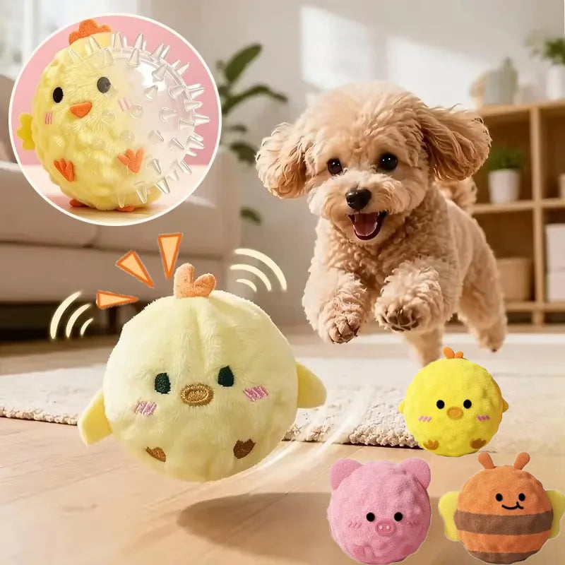 Squeaky Dog Chew Toy Soft TPR Molar Teeth - ProPawPet.com