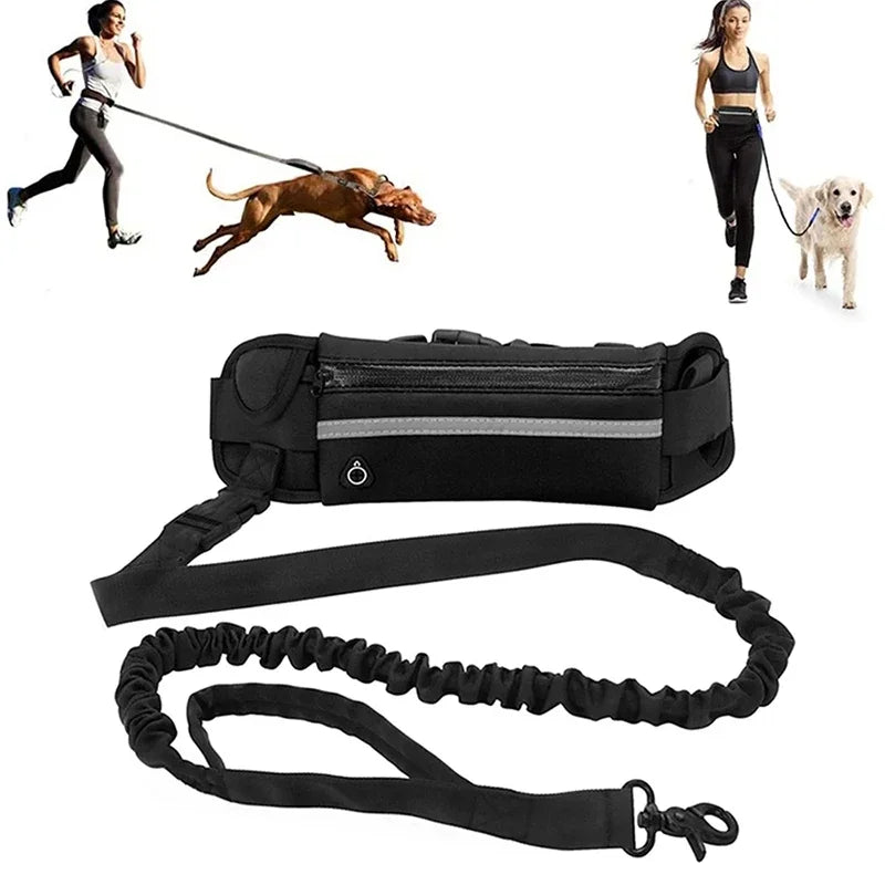 Hands-Free Dog Leash Waist Bag Reflective - ProPawPet.com
