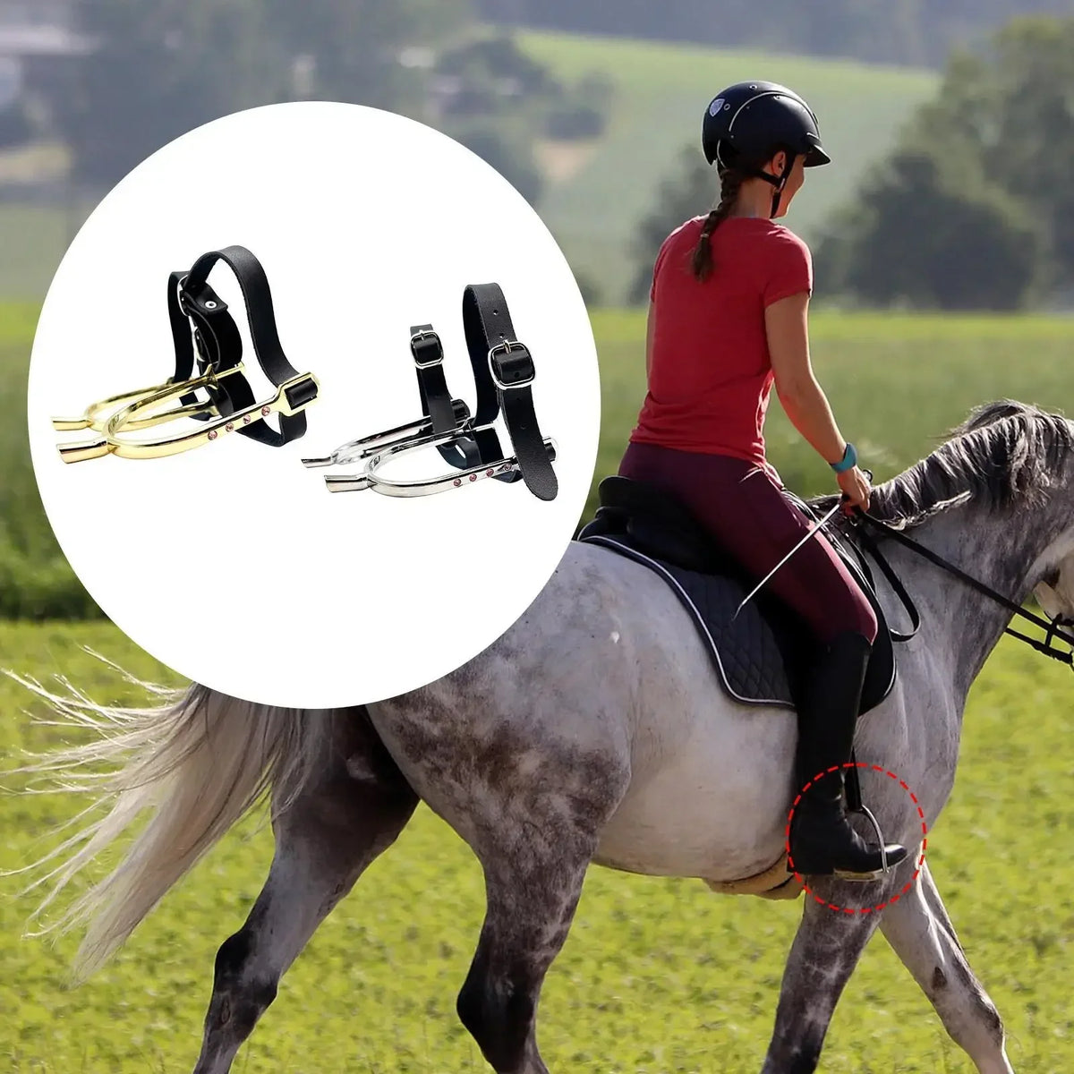 Decorative Rhinestone Horse Spurs with - ProPawPet.com