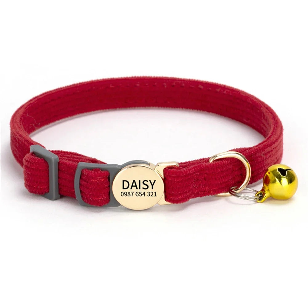 Personalized Engraved Cat Collar Adjustable - ProPawPet.com
