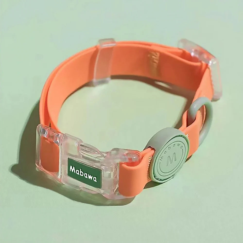 Transparent Buckle Candy Color Small Medium - ProPawPet.com