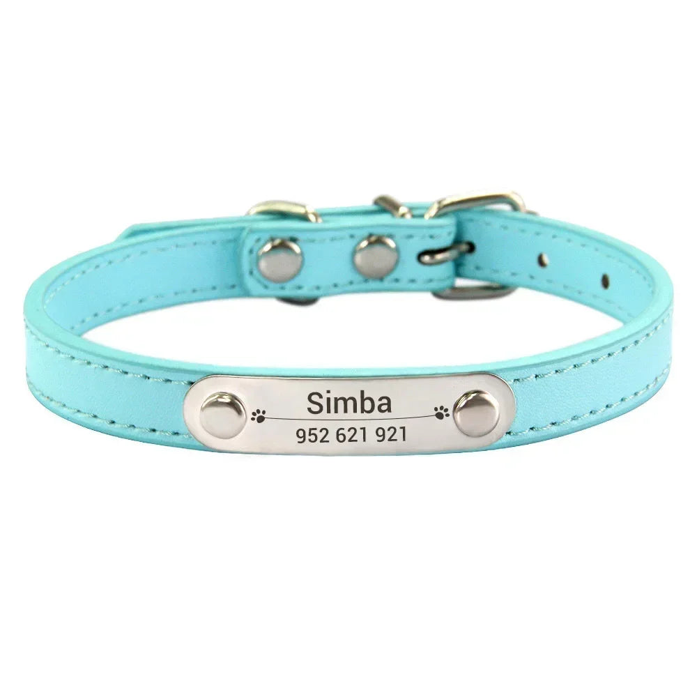 Personalized Dog Collar Name Carved ID - ProPawPet.com