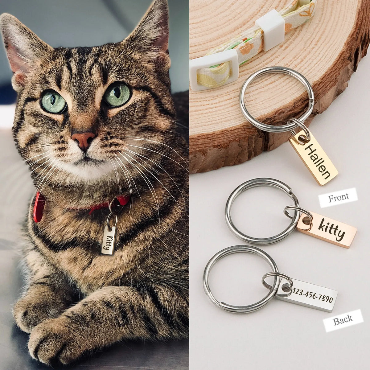 Tiny Cat Tag Mini Dog Name ID Tag Small - ProPawPet.com