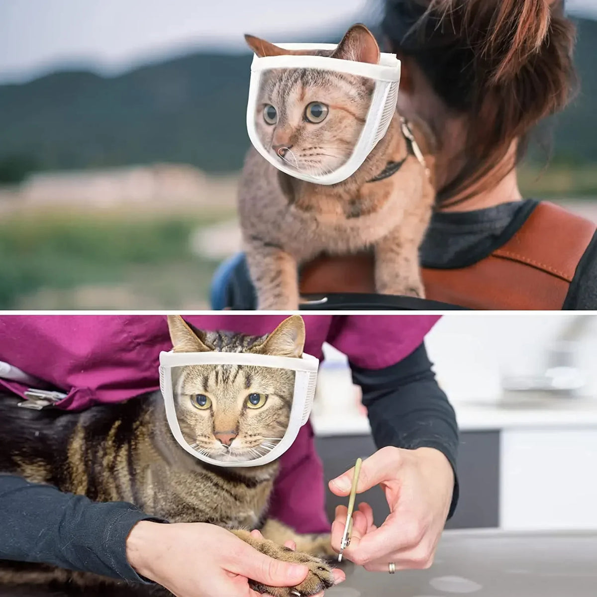 Breathable Clear Cat Muzzle Anti-Bite - ProPawPet.com