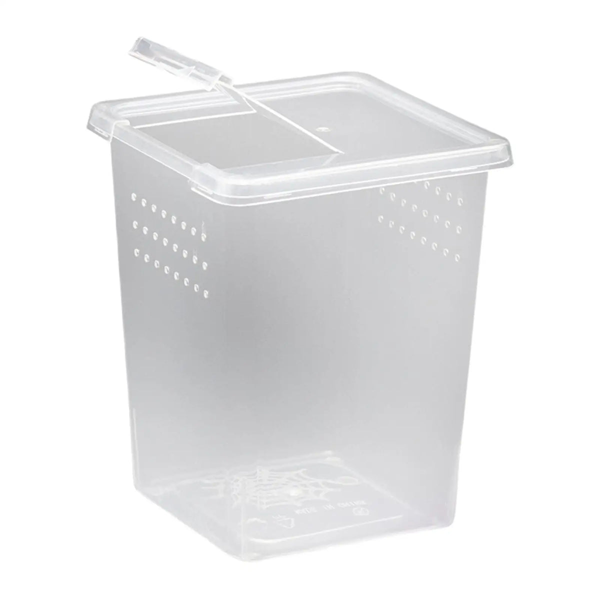 Reptile Feeding Box Terrarium Mini Clear Transport Container – 3 Colors