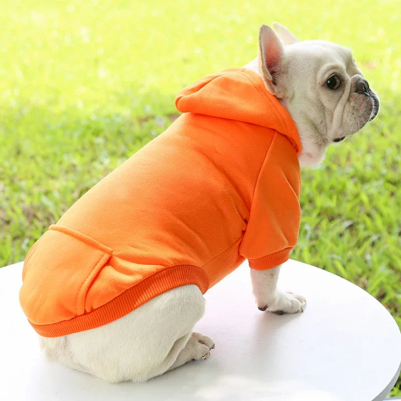 Fashion Dog Clothing Autumn And Winter Small - ProPawPet.com