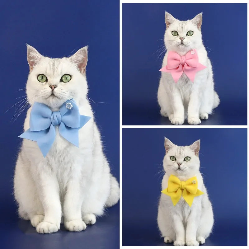 Pet Party Decoration Set Cat Dog Birthday - ProPawPet.com