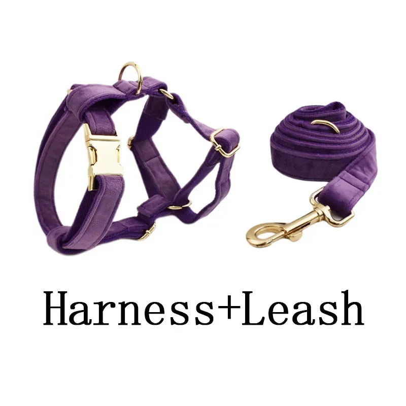 Purple Velvet Dog Collar And Leash Set For - ProPawPet.com