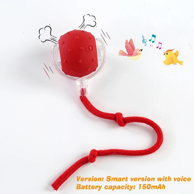 Rechargeable Dog Interactive Ball – 5 Colors