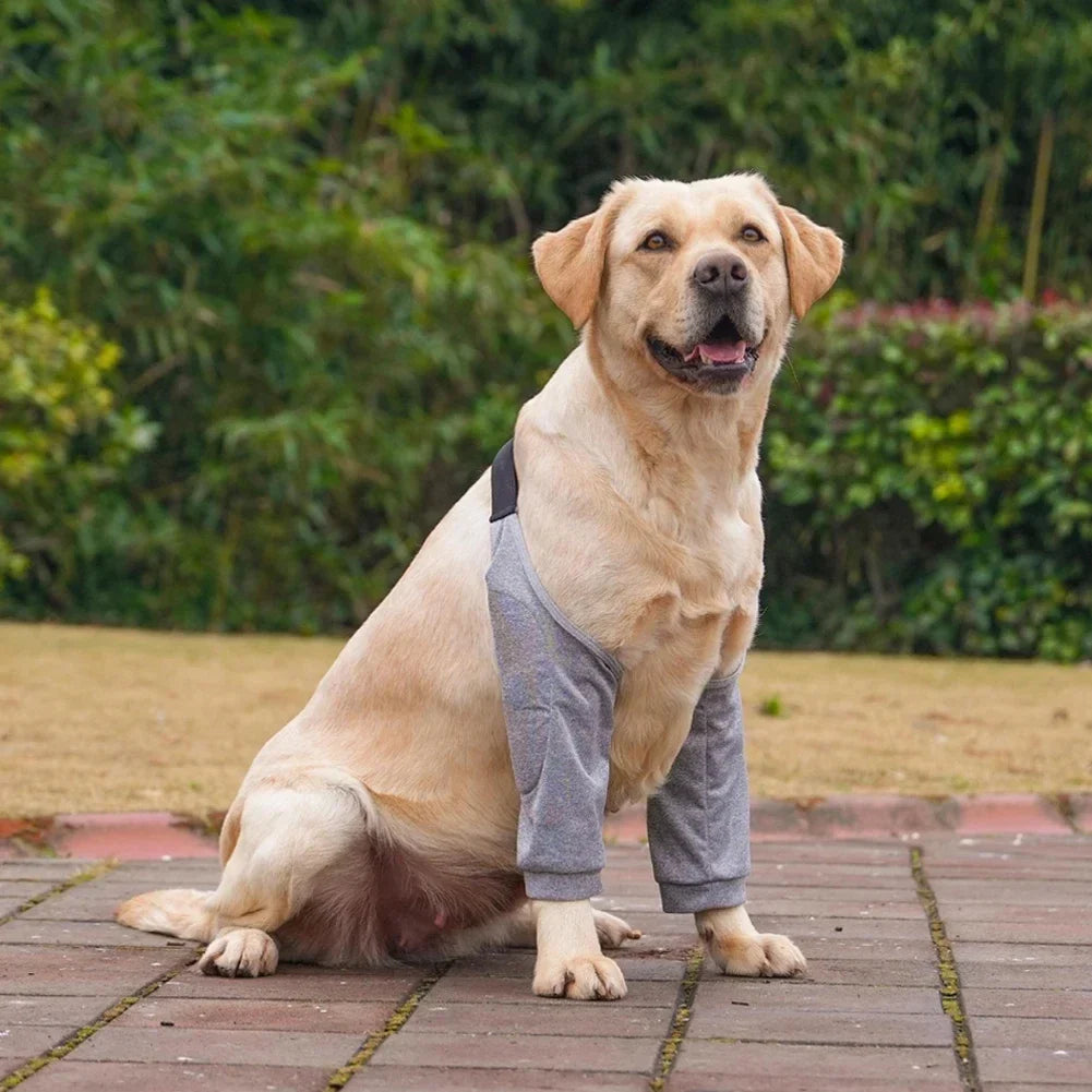 Cartoon Pet Recovery Sleeve Black/Grey - ProPawPet.com