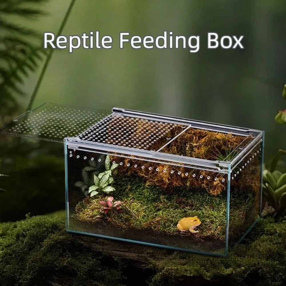 Transparent Reptiles Terrarium Acrylic Easy - ProPawPet.com