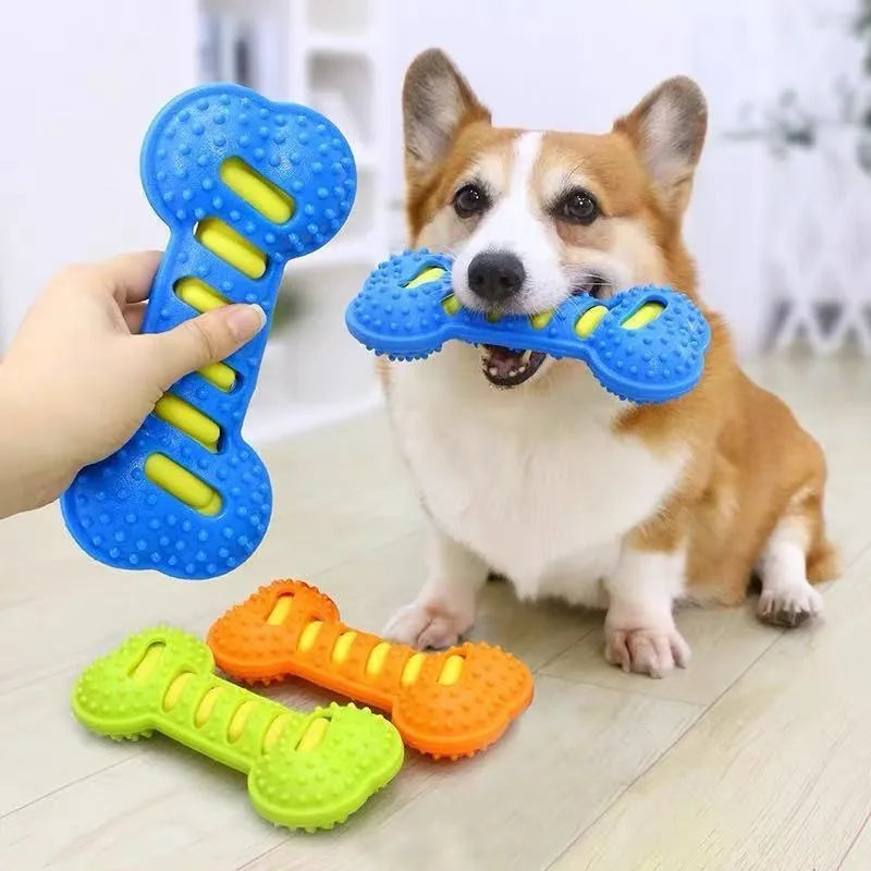 Dog Rubber Bone Chew Toy Squeaky Bite - ProPawPet.com