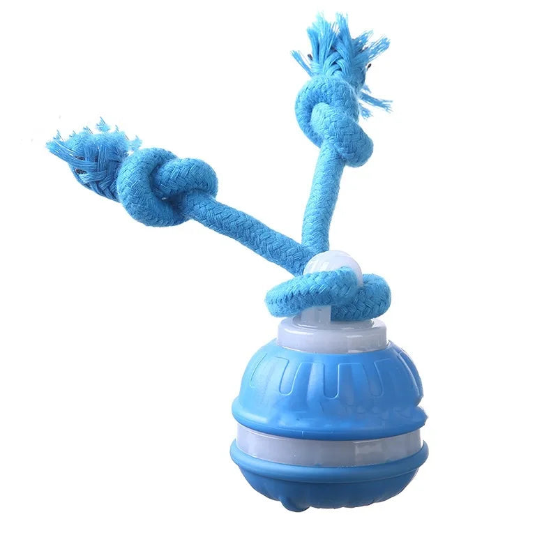 Pet Ball for Dogs Interactive Toys – 2 Colors