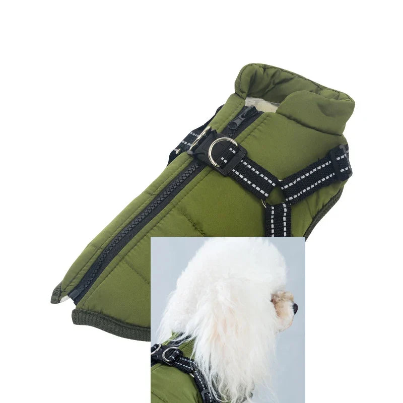 Customizable Winter Dog Clothes Collars, - ProPawPet.com
