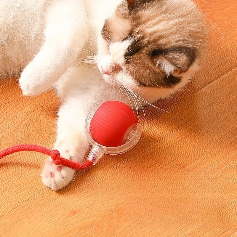 Automatic Interactive Ball Cat Toys Rolling - ProPawPet.com