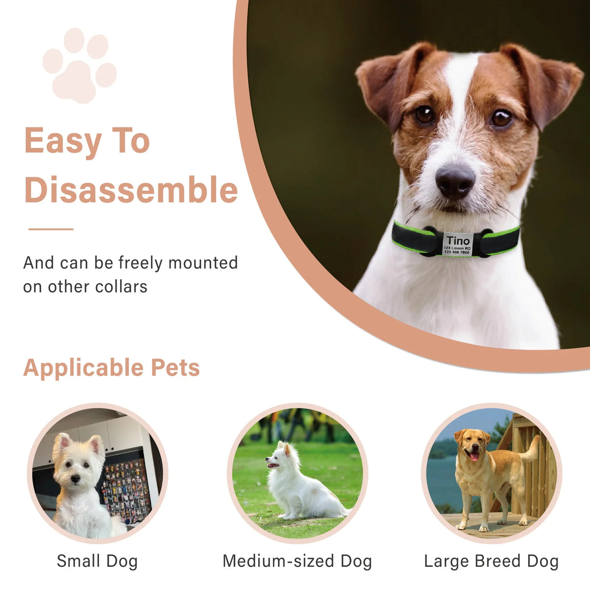 Nameplate Engraved Id Tag Dog Cat Collar - ProPawPet.com