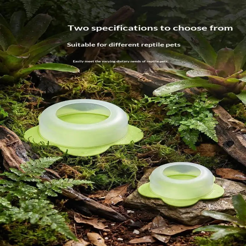 1Pcs For Lizards Geckos Snakes Turtles - ProPawPet.com