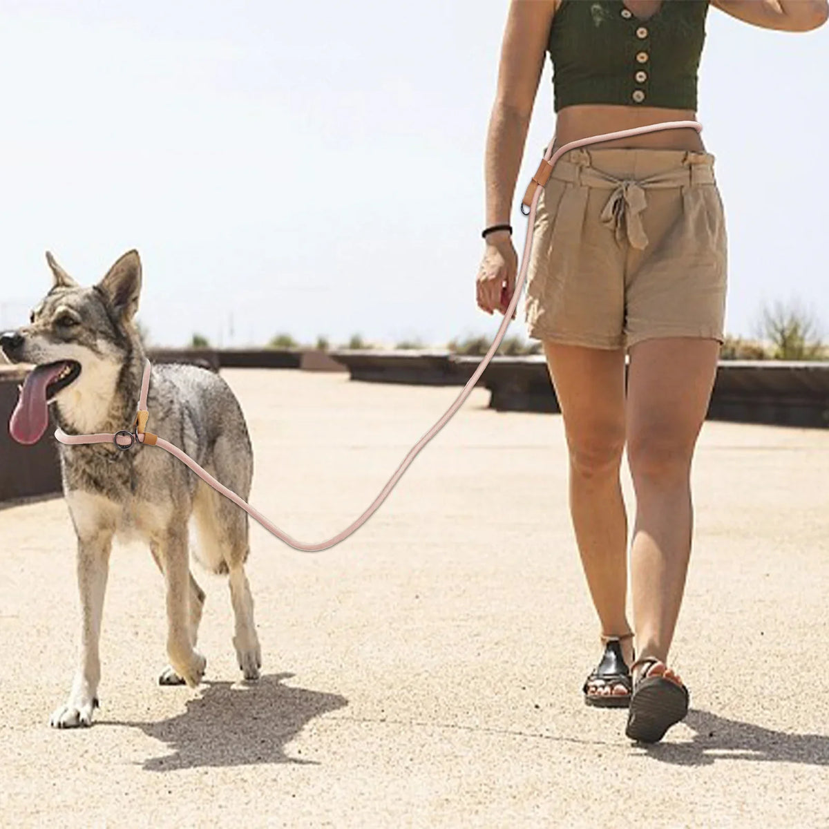 Multi-functional Adjustable P-Shape Dog - ProPawPet.com