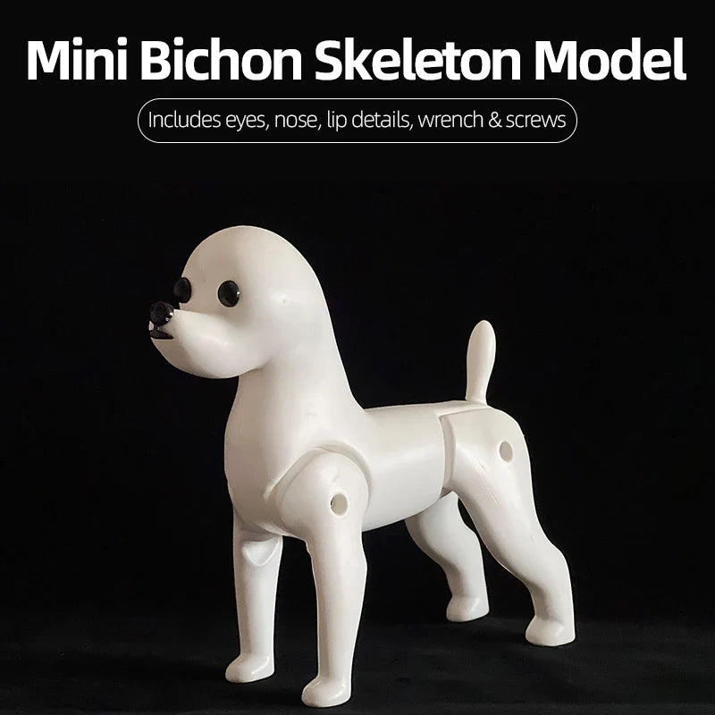 Pet Dog Model Hair Beautician Practice - ProPawPet.com