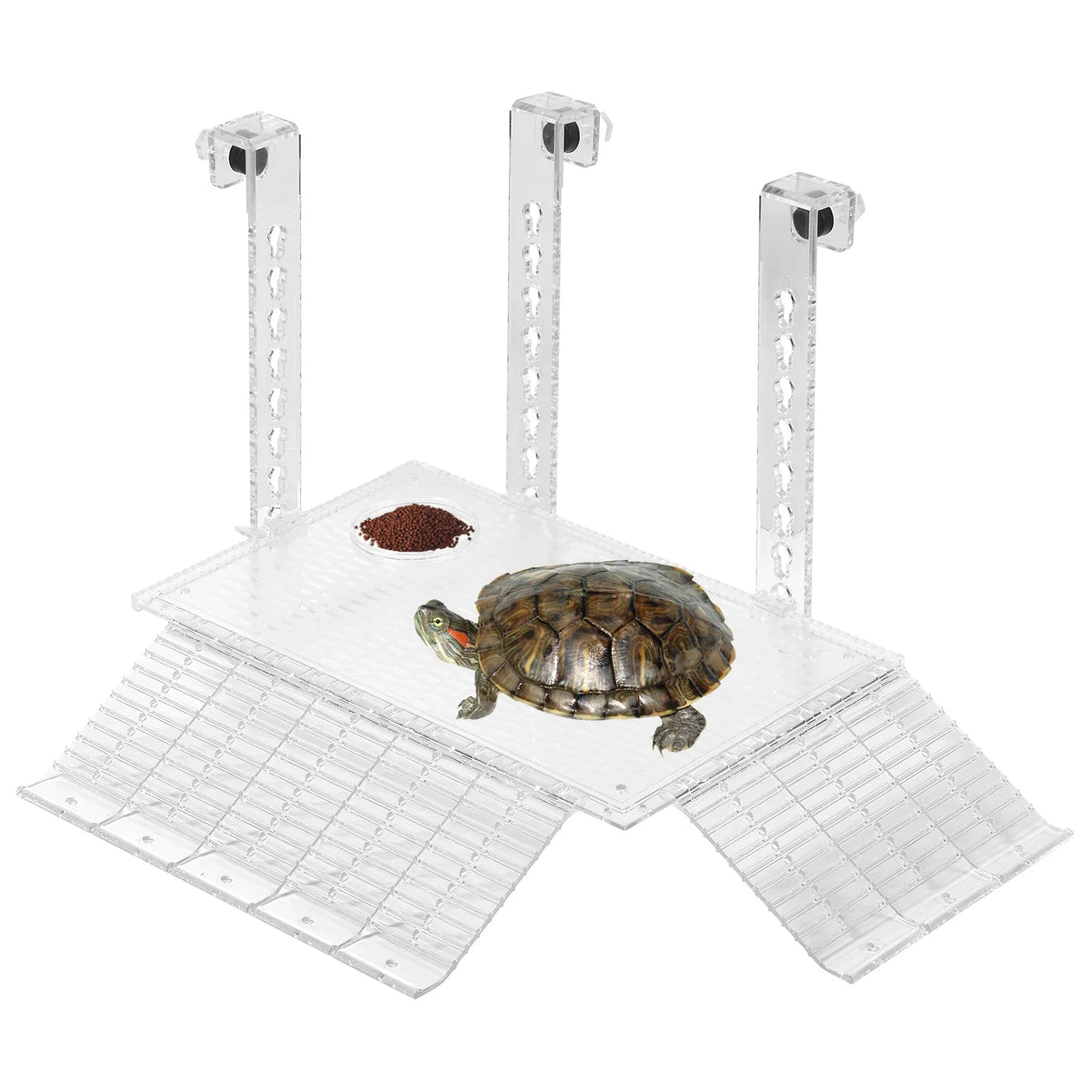 Turtle Climbing Ramp with Feeding Area - ProPawPet.com