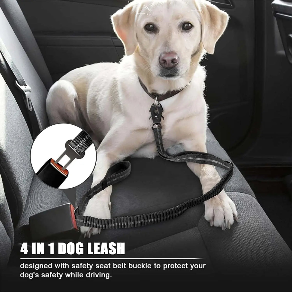 Reflective Shock Absorbing Pet Leashes with - ProPawPet.com