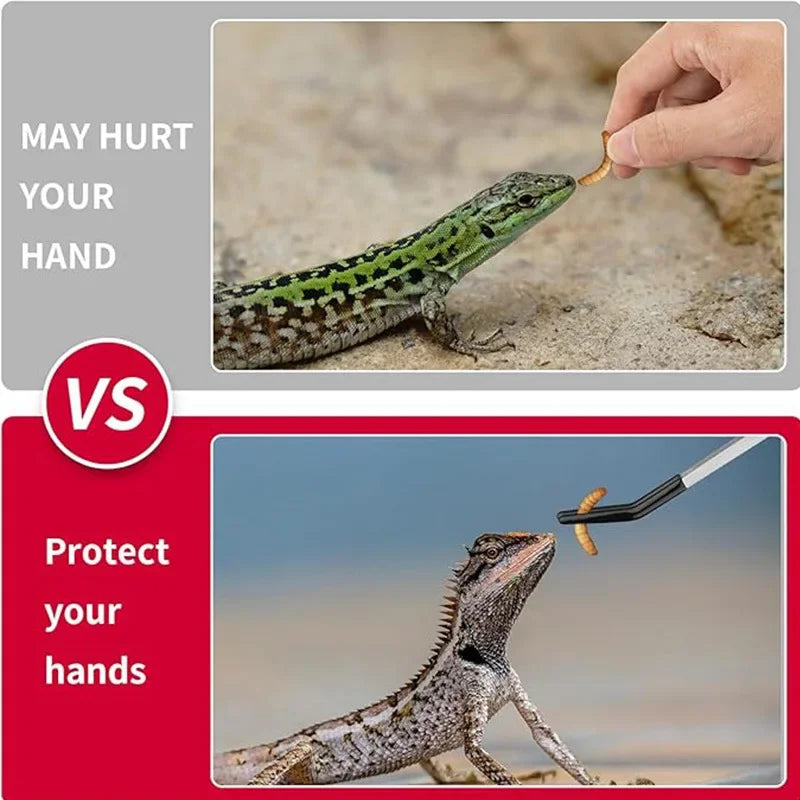 Safe Bite-Proof Feeding Tweezers Stainless - ProPawPet.com