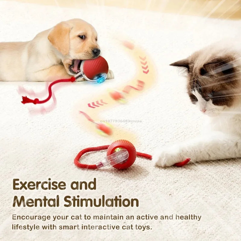 Cat Interactive Ball Toys Automatic Rolling - ProPawPet.com