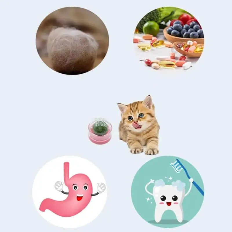 Set Of 3 Interaction Cats Chew Toy Cats Mint - ProPawPet.com