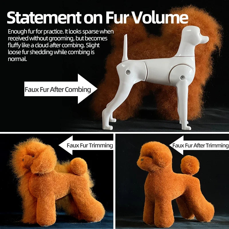 Pet Dog Model Hair Beautician Practice - ProPawPet.com