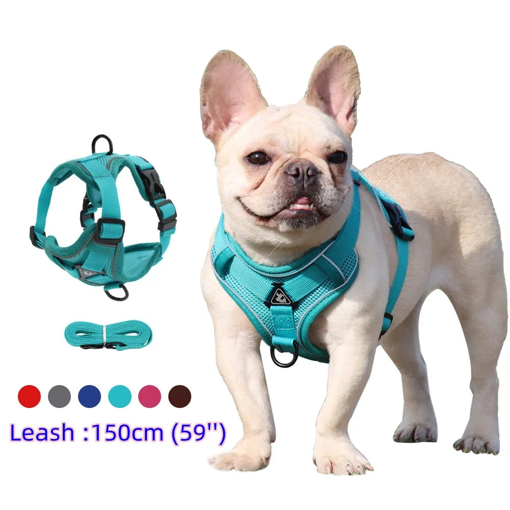 Harness and Leash Set Pet Accessories Dog - ProPawPet.com