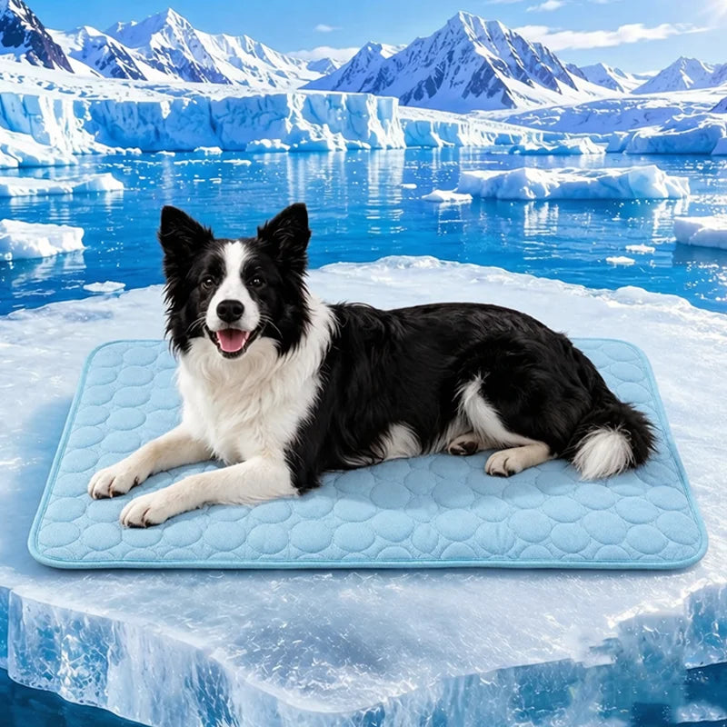 Summer Cats Dogs Cooling Ice Mat Pet Ice - ProPawPet.com