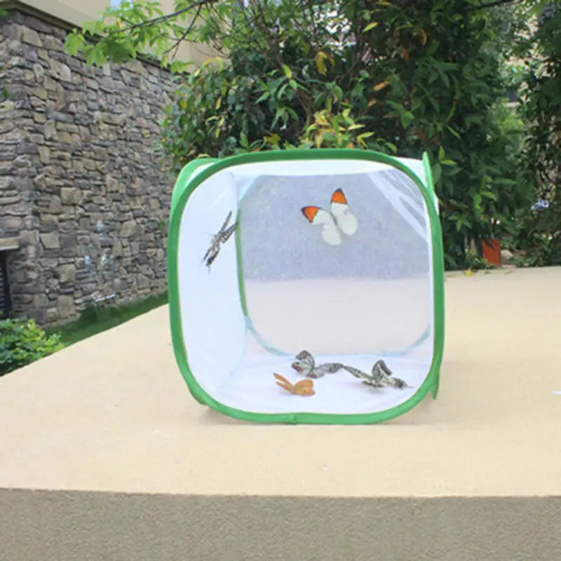 Collapsible Insect Cage Mesh Habitat Bird - ProPawPet.com