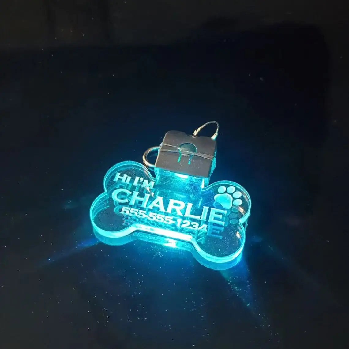 Customized Laser-Engraved Acrylic LED Pet ID - ProPawPet.com
